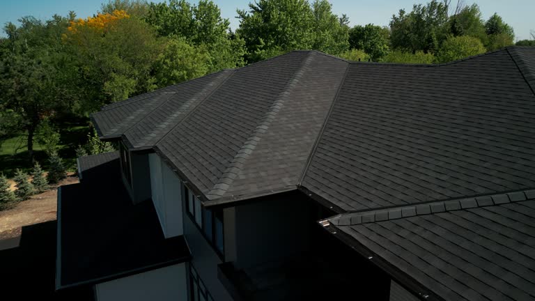 Best Chimney Flashing Repair  in Willard, OH